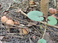 IMG_20240814_135504.webp