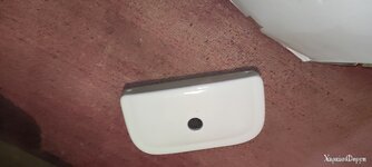 IMG_20221203_110921.jpg