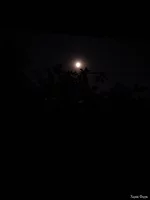 IMG_20240820_020410419.webp
