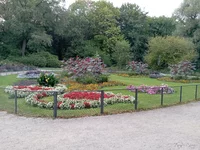 IMG_20240826_194547.webp