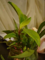 DSC07567.webp