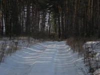 DSCN7683.webp