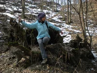 DSCN7695.webp