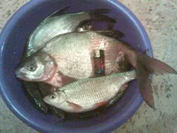 19032012(003).webp