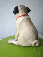 pug-1.webp