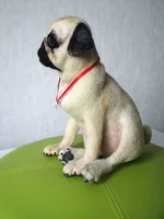 pug-2.webp