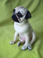 pug-4.webp