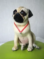 pug-3.webp