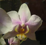 IMG_8219.webp