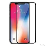zasshitnoe-steklo-apple-iphone-xxs-black.webp