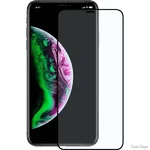 zasshitnoe-steklo-apple-iphone-xs-max-black.jpg
