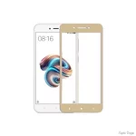 zasshitnoe-steklo-xiaomi-redmi-5a-gold.jpg
