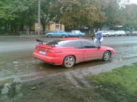 (073).webp