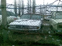 post-7841-1237073077_thumb.webp