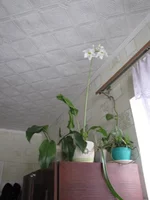 IMG_3668.webp