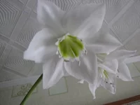 IMG_3661.webp