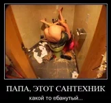 1286367133_xtvxkwyalbrbdyf.webp