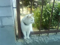 DSC00087.webp