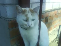 DSC00088.webp