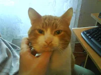 DSC00100.webp