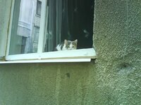 DSC00899.jpg