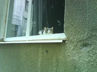 DSC00899.webp