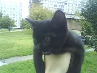DSC01029.webp