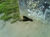 DSC01033.jpg