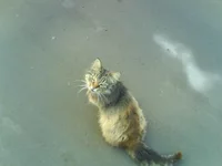 DSC01222.webp