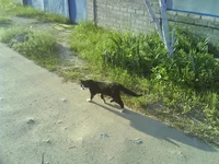 DSC01268.webp