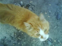 DSC01276.webp