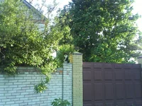DSC01283.webp