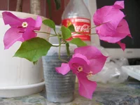 IMG_1744.webp