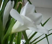  1 22-03-12.webp