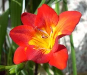 2 22-03-12.webp