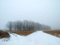 R5319362.webp