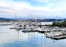 IMG-20240813-WA0053.webp