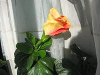 %25D0%25BC%25D0%25B0%25D1%2580%25D1%25822012%2520147.jpg