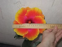 %25D0%25BC%25D0%25B0%25D1%2580%25D1%25822012%2520176.jpg