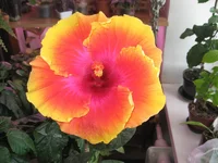 %25D0%25BC%25D0%25B0%25D1%2580%25D1%25822012%2520178.jpg