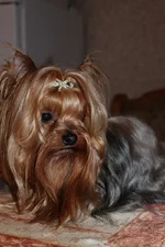 IMG_5007 [Мама].webp