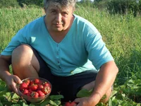  жиэнь 597.webp