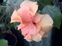 2012-03-10 08.18.14.webp