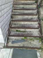 IMG_3769.webp
