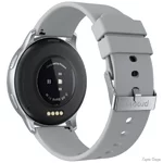 smart-godinnik-proove-infinity-silver-swif00000006.webp
