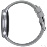 smart-godinnik-proove-infinity-silver-swif00000006.jpg