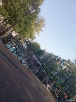 IMG_20240921_095729.webp