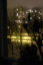 Through The Window.webp