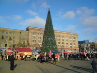 DSC00536.JPG