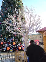 DSC00543.JPG